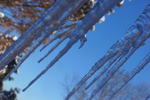 image socorro icicle.jpg